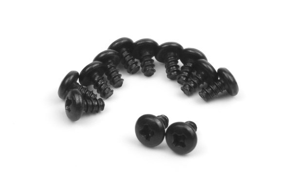 BLACKZON Pan Head Self Tapping Screws 2x4mm i gruppen LEKSAKER, BARN- & BABYPRODUKTER / Radiostyrt / Reservdelar & Extra Tillbehör / Blackzon hos TP E-commerce Nordic AB (C30828)