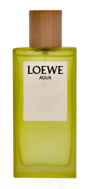 Loewe Agua Edt Spray 100 ml i gruppen SKÖNHET & HÄLSA / Doft & Parfym / Parfym / Parfym för henne hos TP E-commerce Nordic AB (C34076)