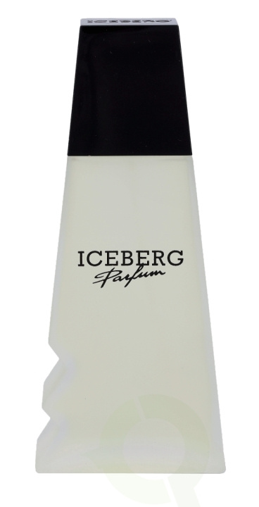 Iceberg Femme Edt Spray 100 ml i gruppen SKÖNHET & HÄLSA / Doft & Parfym / Parfym / Parfym för henne hos TP E-commerce Nordic AB (C34234)