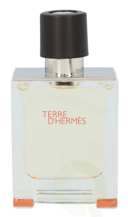 Hermes Terre D\'Hermes Edt Spray 50 ml i gruppen SKÖNHET & HÄLSA / Doft & Parfym / Parfym / Parfym för honom hos TP E-commerce Nordic AB (C34508)
