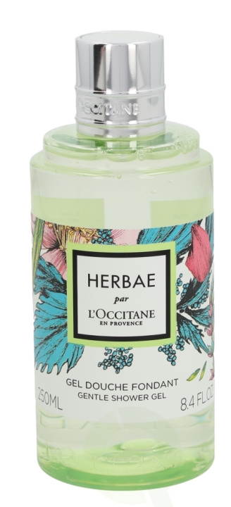 L\'Occitane Herbae Gentle Shower Gel 250 ml i gruppen SKÖNHET & HÄLSA / Hudvård / Kroppsvård / Bad & Duschcreme hos TP E-commerce Nordic AB (C37894)