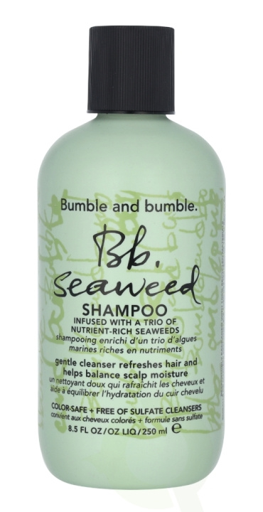 Bumble and Bumble Bumble & Bumble Seaweed Shampoo 250 ml i gruppen SKÖNHET & HÄLSA / Hår & Styling / Hårvårdsprodukter / Schampo hos TP E-commerce Nordic AB (C38225)