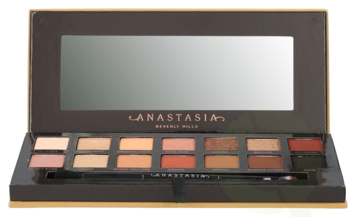 Anastasia Beverly Hills Soft Glam Eyeshadow Palette 10.3 gr 14x0,74gr/Duo Shadow Brush i gruppen SKÖNHET & HÄLSA / Makeup / Ögon & Ögonbryn / Ögonskuggor hos TP E-commerce Nordic AB (C42197)