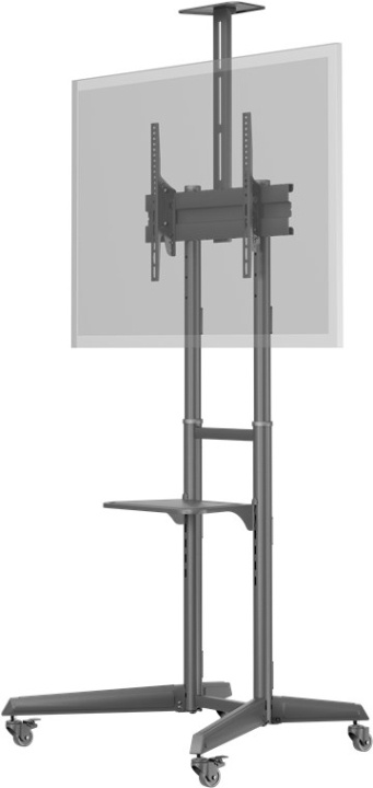 Goobay TV-presentationsstativ Pro (storlek L) för TV-apparater och monitorer mellan 37 och 70 tum (94-178 cm) upp till 50 kg, vinklingsbar i gruppen HEMELEKTRONIK / Ljud & Bild / TV & Tillbehör / Stativ & väggfästen till TV hos TP E-commerce Nordic AB (C44076)