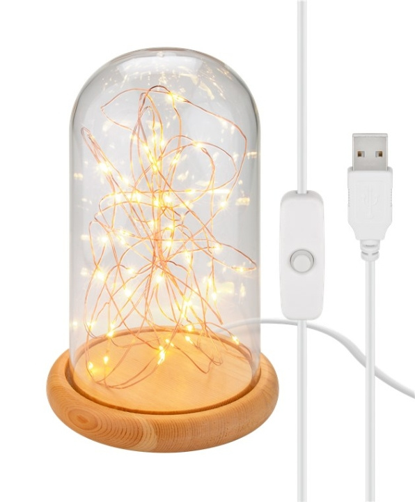 Goobay Glaskupa med mikro LED mikro-ljusslinga med träplatta, 115 cm USB-kabel, 5 m ljuskedja med 50 mikro-LED i varmvitt (2700 K) och strömbrytare (On/Off) i gruppen HEMELEKTRONIK / Belysning / Bordslampor hos TP E-commerce Nordic AB (C44094)