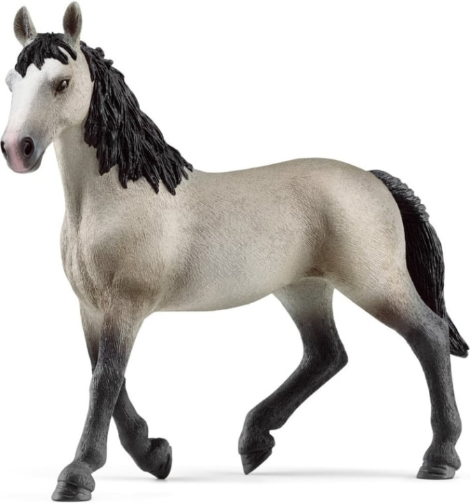 Schleich Horse Club 13955 Selle français-sto i gruppen LEKSAKER, BARN- & BABYPRODUKTER / Leksaker / Figurer, Miniatyrer & tillbehör hos TP E-commerce Nordic AB (C47856)