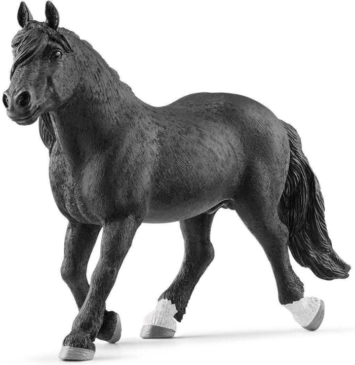 Schleich Horse Club 13958 Norikerhingst i gruppen LEKSAKER, BARN- & BABYPRODUKTER / Leksaker / Figurer, Miniatyrer & tillbehör hos TP E-commerce Nordic AB (C47858)