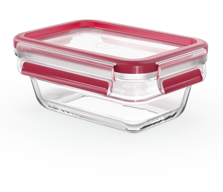 Tefal MasterSeal Glasförvaringslåda, glas, 0,45 L i gruppen HEM, HUSHÅLL & TRÄDGÅRD / Köksredskap / Lunchlådor & Matbehållare hos TP E-commerce Nordic AB (C58184)