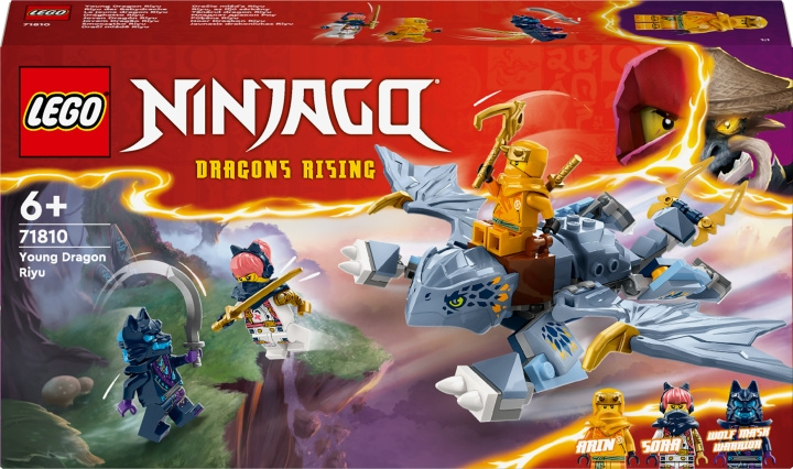 LEGO Ninjago 71810 - Little Dragon Riyu i gruppen LEKSAKER, BARN- & BABYPRODUKTER / Leksaker / Byggleksaker / Lego hos TP E-commerce Nordic AB (C58537)