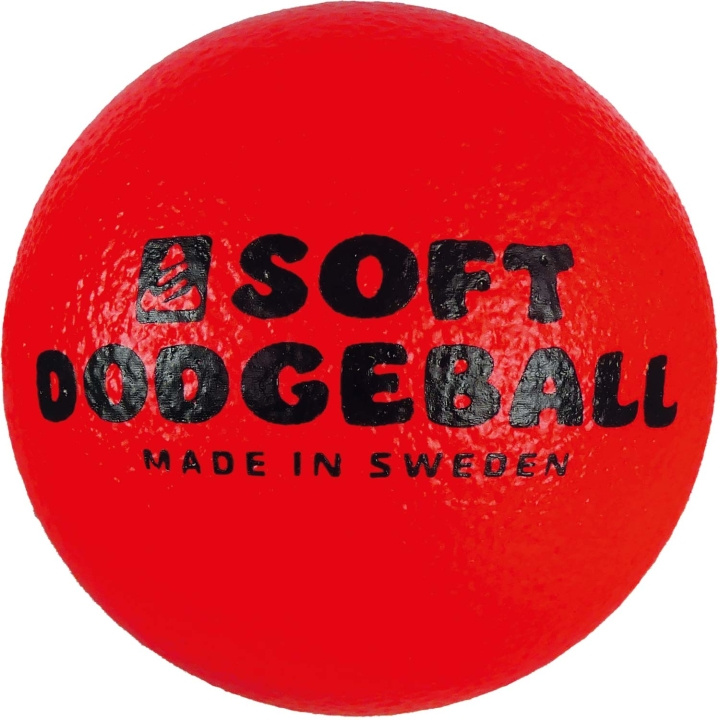 SportMe Dodgeball i gruppen LEKSAKER, BARN- & BABYPRODUKTER / Uteleksaker / Sport & Spel hos TP E-commerce Nordic AB (C58933)