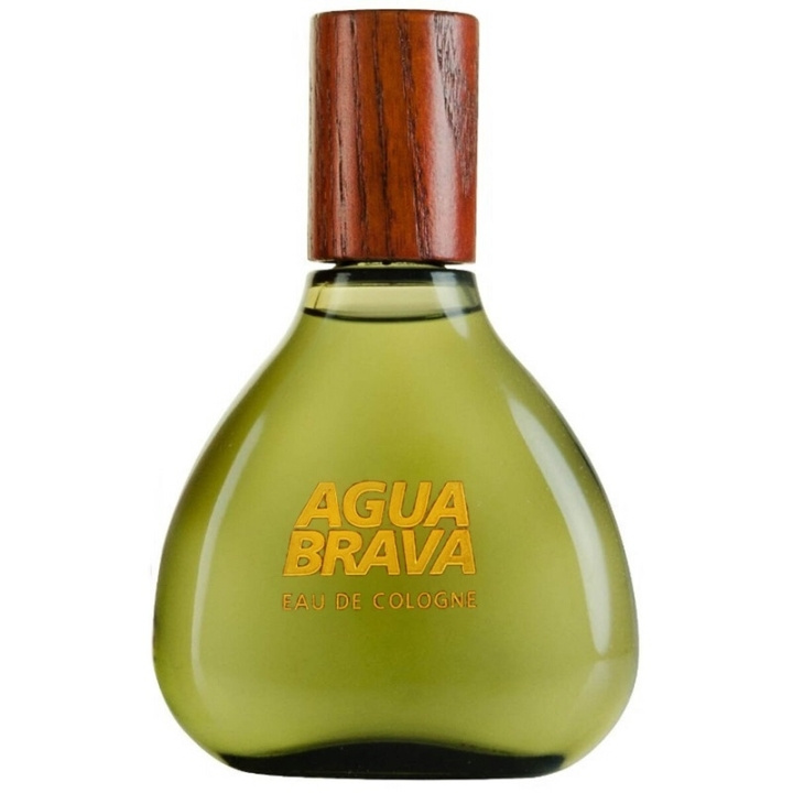 Antonio Puig Puig Agua Brava Edc 100ml i gruppen SKÖNHET & HÄLSA / Doft & Parfym / Parfym / Parfym för honom hos TP E-commerce Nordic AB (C60585)