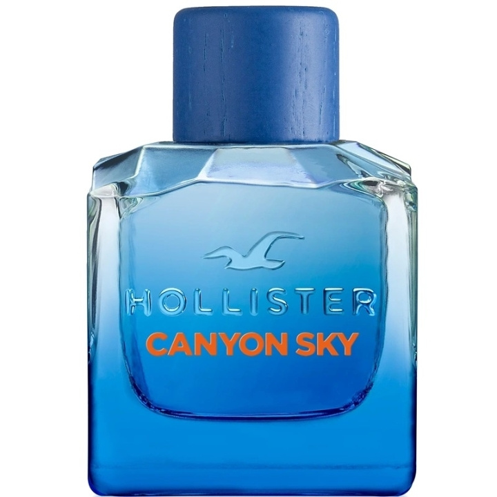 Hollister Canyon Sky For Him Edt 100ml i gruppen SKÖNHET & HÄLSA / Doft & Parfym / Parfym / Parfym för honom hos TP E-commerce Nordic AB (C62239)