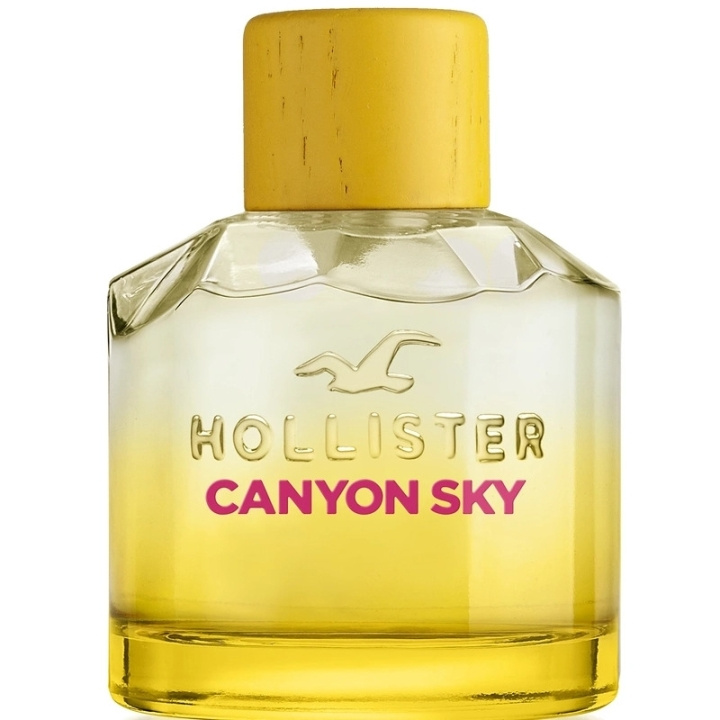 Hollister Canyon Sky For Her Edp 100ml i gruppen SKÖNHET & HÄLSA / Doft & Parfym / Parfym / Parfym för henne hos TP E-commerce Nordic AB (C62242)