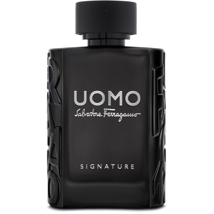 Salvatore Ferragamo Uomo Signature Edp 100ml i gruppen SKÖNHET & HÄLSA / Doft & Parfym / Parfym / Parfym för honom hos TP E-commerce Nordic AB (C62245)