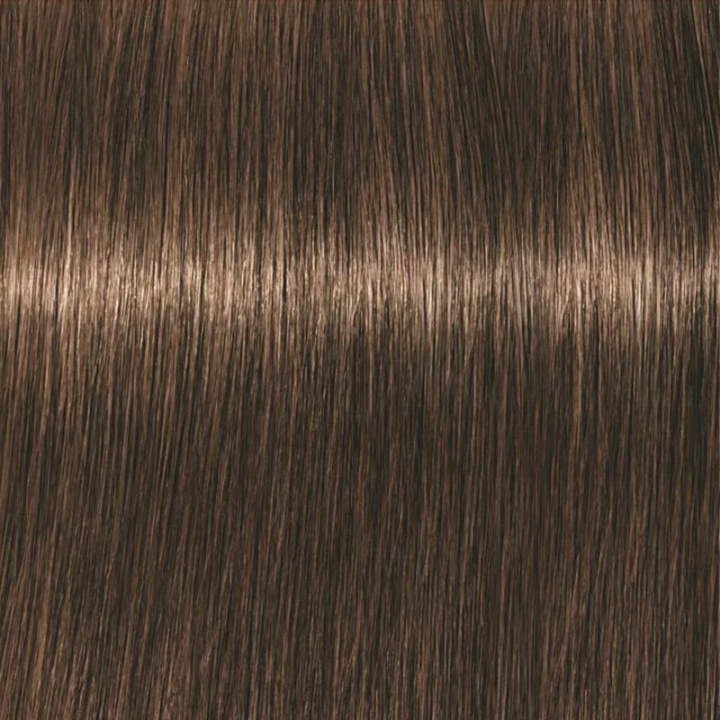 Schwarzkopf Professional Igora Vibrance Kit 5-65 Light Brown Chocolate Gold i gruppen SKÖNHET & HÄLSA / Hår & Styling / Hårvårdsprodukter / Hårfärg / Hårfärg & Färgbomb hos TP E-commerce Nordic AB (C62316)