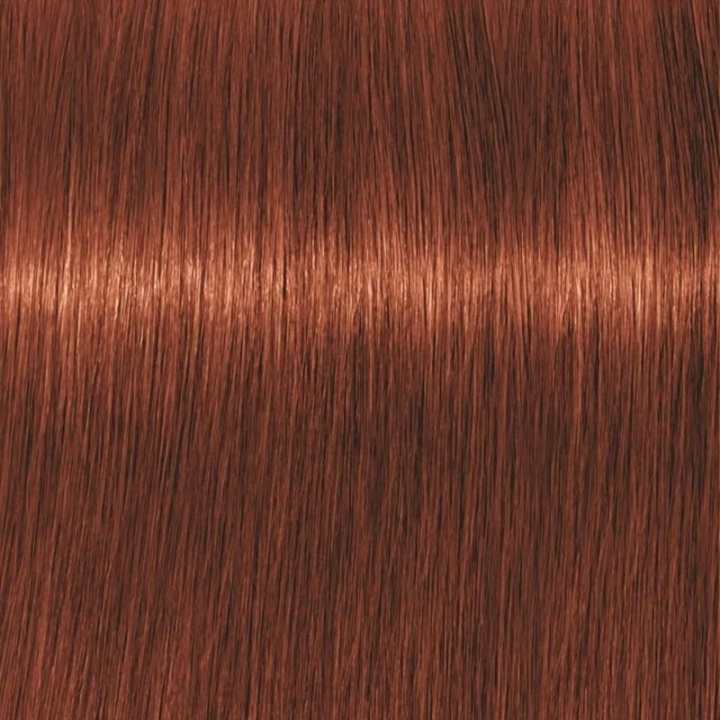 Schwarzkopf Professional Igora Vibrance Kit 6-78 Dark Blonde Copper Red i gruppen SKÖNHET & HÄLSA / Hår & Styling / Hårvårdsprodukter / Hårfärg / Hårfärg & Färgbomb hos TP E-commerce Nordic AB (C62325)