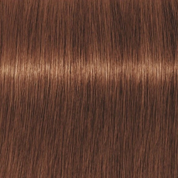 Schwarzkopf Professional Igora Vibrance Kit 5-67 Light Brown Chocolate Copper i gruppen SKÖNHET & HÄLSA / Hår & Styling / Hårvårdsprodukter / Hårfärg / Hårfärg & Färgbomb hos TP E-commerce Nordic AB (C62327)