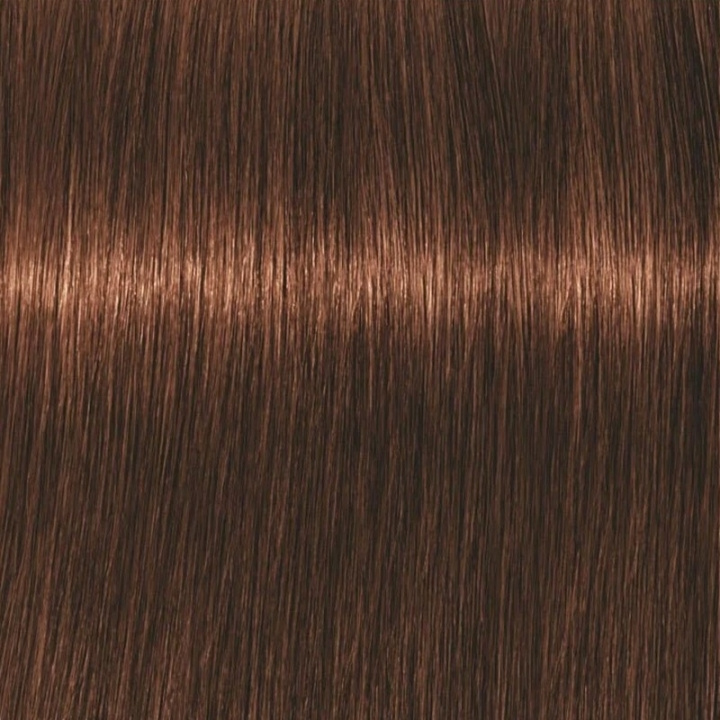 Schwarzkopf Professional Igora Vibrance Kit 5-7 Light Brown Copper i gruppen SKÖNHET & HÄLSA / Hår & Styling / Hårvårdsprodukter / Hårfärg / Hårfärg & Färgbomb hos TP E-commerce Nordic AB (C62333)