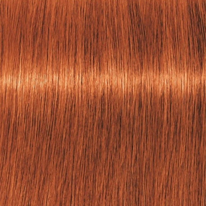 Schwarzkopf Professional Igora Vibrance Kit 7-77 Medium Blonde Copper Extra i gruppen SKÖNHET & HÄLSA / Hår & Styling / Hårvårdsprodukter / Hårfärg / Hårfärg & Färgbomb hos TP E-commerce Nordic AB (C62338)