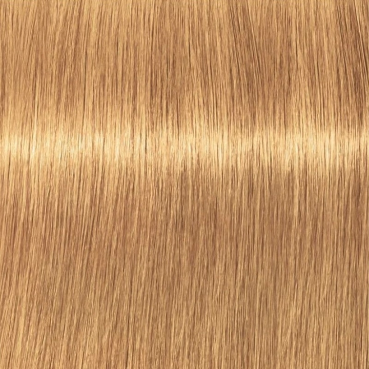 Schwarzkopf Professional Igora Vibrance Kit 9-55 Extra Light Blonde Gold Extra i gruppen SKÖNHET & HÄLSA / Hår & Styling / Hårvårdsprodukter / Hårfärg / Hårfärg & Färgbomb hos TP E-commerce Nordic AB (C62347)