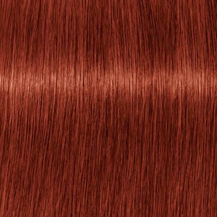 Schwarzkopf Professional Igora Vibrance Kit 7-88 Medium Blonde Red Extra i gruppen SKÖNHET & HÄLSA / Hår & Styling / Hårvårdsprodukter / Hårfärg / Hårfärg & Färgbomb hos TP E-commerce Nordic AB (C62350)