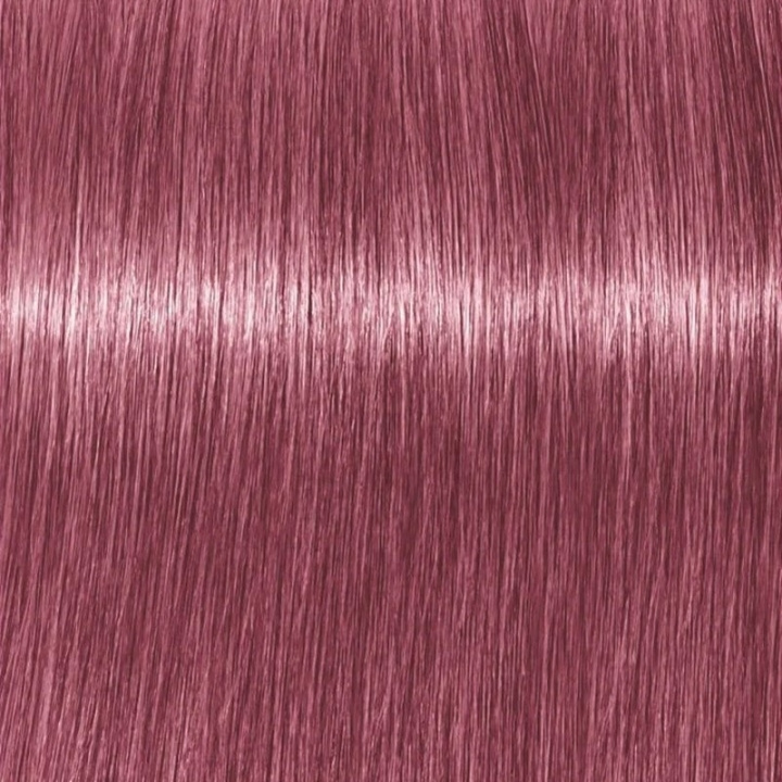 Schwarzkopf Professional Igora Vibrance Kit 9.5-98 Violet Red Toner i gruppen SKÖNHET & HÄLSA / Hår & Styling / Hårvårdsprodukter / Hårfärg / Hårfärg & Färgbomb hos TP E-commerce Nordic AB (C62363)