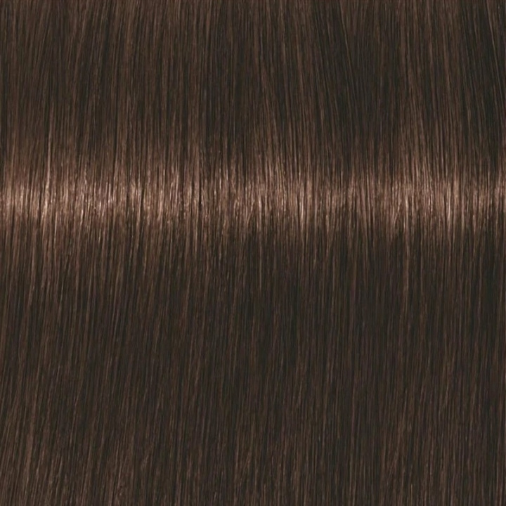 Schwarzkopf Professional Igora Vibrance Kit 4-6 Medium Brown Chocolate i gruppen SKÖNHET & HÄLSA / Hår & Styling / Hårvårdsprodukter / Hårfärg / Hårfärg & Färgbomb hos TP E-commerce Nordic AB (C62368)