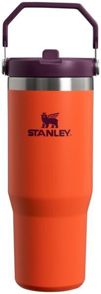 Stanley IceFlow drickglas med flipat sugrör, orange, 890 ml i gruppen SPORT, FRITID & HOBBY / Friluftsliv / Termosar & Vattenflaskor hos TP E-commerce Nordic AB (C63363)