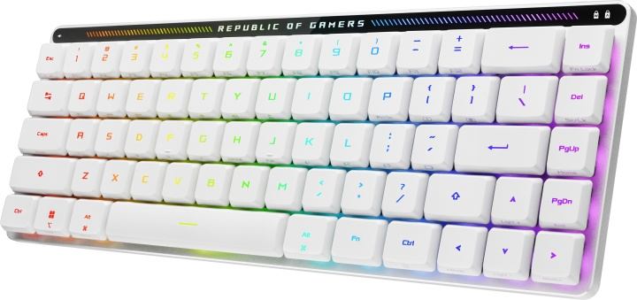 ASUS ROG Falchion RX trådlöst speltangentbord med låg profil i gruppen DATORER & KRINGUTRUSTNING / Gaming / Tangentbord hos TP E-commerce Nordic AB (C68540)