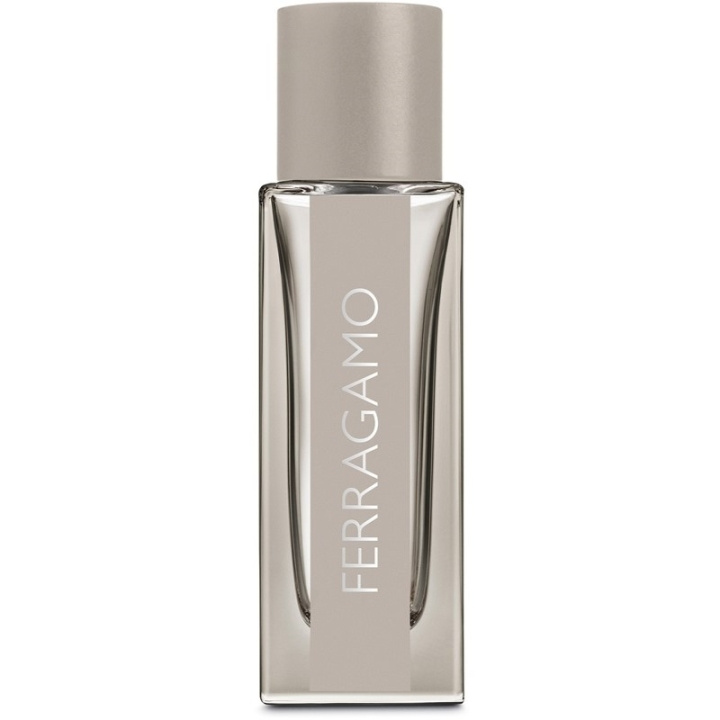 Salvatore Ferragamo Bright Leather Edt 30ml i gruppen SKÖNHET & HÄLSA / Doft & Parfym / Parfym / Parfym för honom hos TP E-commerce Nordic AB (C74732)