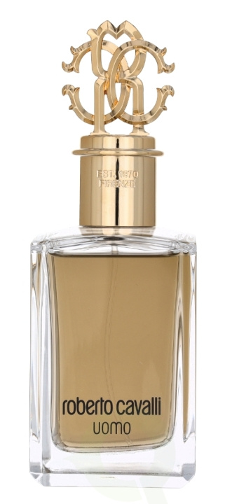 Roberto Cavalli Uomo Edt Spray 100 ml i gruppen SKÖNHET & HÄLSA / Doft & Parfym / Parfym / Parfym för honom hos TP E-commerce Nordic AB (C78846)