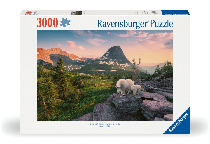 Ravensburger Pussel Foto City Landscape 3000p (12000809) i gruppen SPORT, FRITID & HOBBY / Hobby / Pussel hos TP E-commerce Nordic AB (C86133)