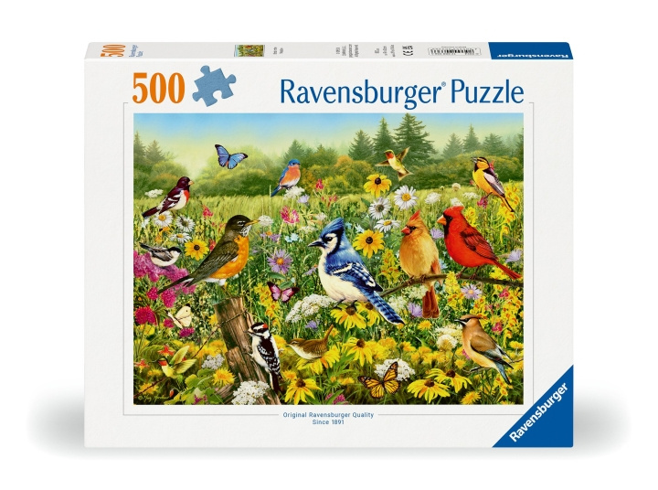 Ravensburger Pussel Fåglar på ängen 500p (12000336) i gruppen SPORT, FRITID & HOBBY / Hobby / Pussel hos TP E-commerce Nordic AB (C86444)