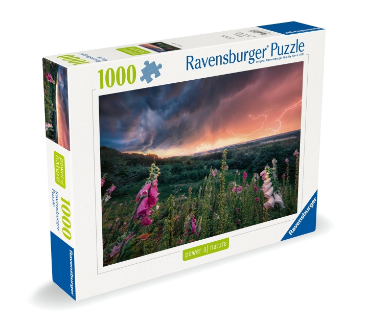 Ravensburger Pussel Dreamy Thunder 1000p (12000793) i gruppen SPORT, FRITID & HOBBY / Hobby / Pussel hos TP E-commerce Nordic AB (C86531)