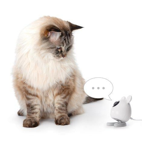 catit PIXI Smart Kamera 7x12cm - (785.0336) i gruppen HEM, HUSHÅLL & TRÄDGÅRD / Djurtillbehör / Katt hos TP E-commerce Nordic AB (C92670)