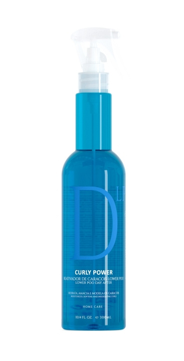 EVAN Curly Power Day After Curl Reactivator Lower Poo Spray 300 ml i gruppen SKÖNHET & HÄLSA / Hår & Styling / Hårstylingprodukter / Stylingcreme hos TP E-commerce Nordic AB (C96701)