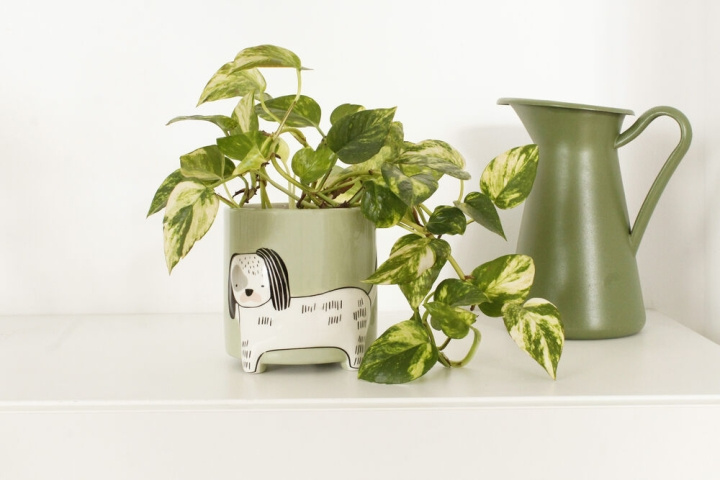 Winkee Hund i blomkruka - Höjd: 40 cm, diameter: 13 cm i gruppen SPORT, FRITID & HOBBY / Roliga prylar / Smarta saker hos TP E-commerce Nordic AB (C99140)