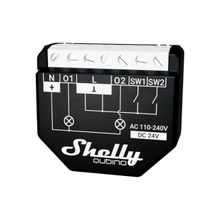 Shelly Qubino Wave 2PM