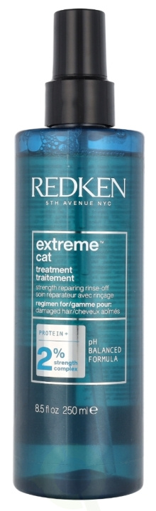 Redken Extreme Cat Treatment Hair Spray 250 ml i gruppen SKÖNHET & HÄLSA / Hår & Styling / Hårstylingprodukter / Hårspray hos TP E-commerce Nordic AB (D06234)