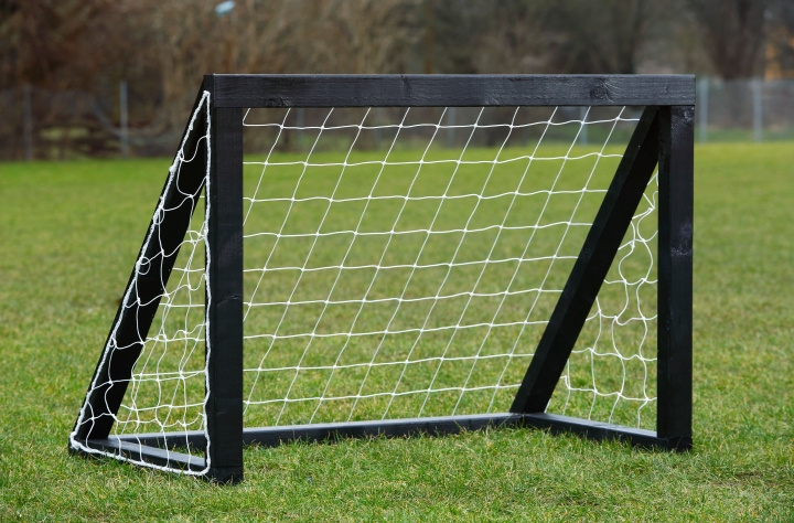 My Hood Homegoal Pro Micro - Svart 125 x 100 cm (302120) i gruppen LEKSAKER, BARN- & BABYPRODUKTER / Uteleksaker / Sport & Spel hos TP E-commerce Nordic AB (D14855)