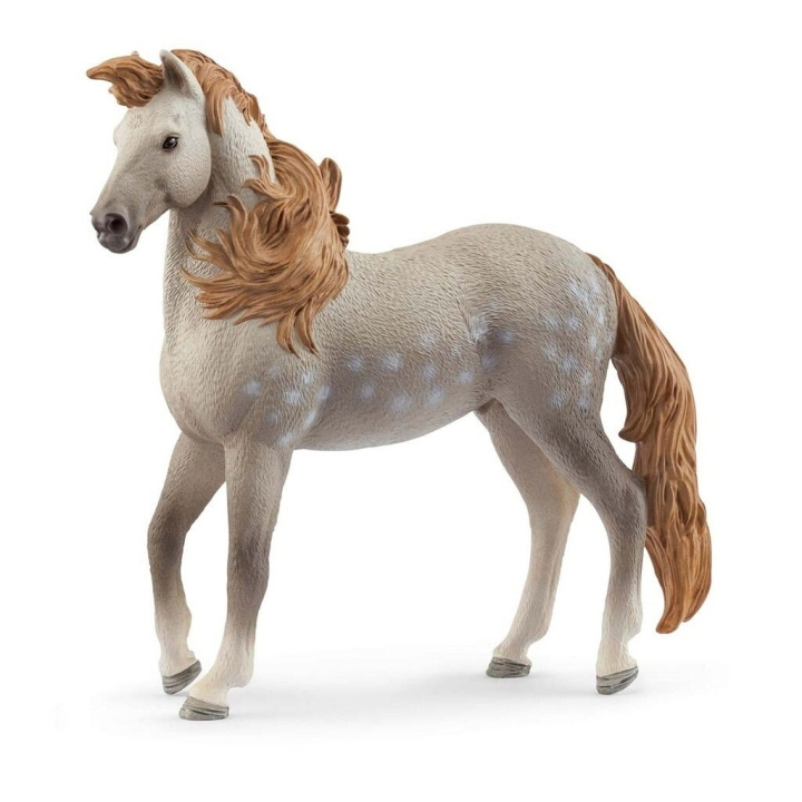Schleich Andalusisk hingst - (14895) i gruppen LEKSAKER, BARN- & BABYPRODUKTER / Leksaker / Figurer, Miniatyrer & tillbehör hos TP E-commerce Nordic AB (D15330)