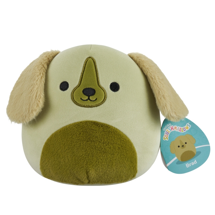 Squishmallows 19 cm plysch P22 - Golden retrievern Brad i gruppen LEKSAKER, BARN- & BABYPRODUKTER / Babyleksaker / Gosedjur hos TP E-commerce Nordic AB (D15363)