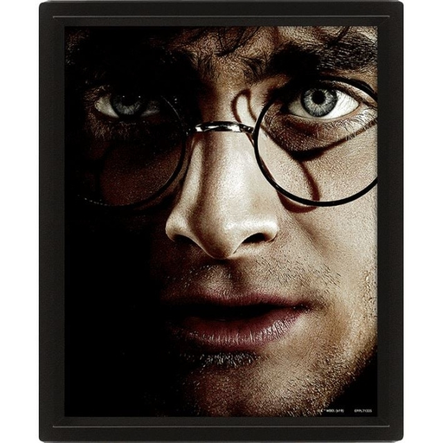 Pyramid International HARRY POTTER (HARRY VS VOLDEMORT) - FRAMED i gruppen SPORT, FRITID & HOBBY / Roliga prylar / Samlarobjekt hos TP E-commerce Nordic AB (D15438)