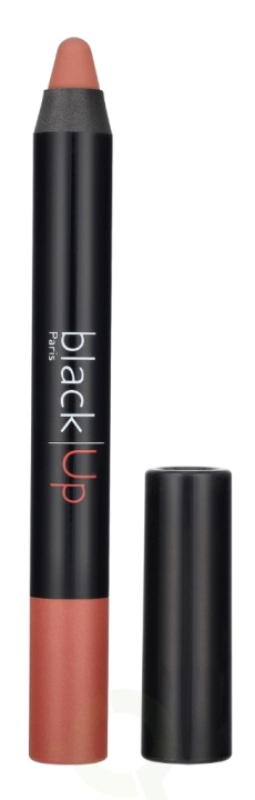 Black Up Mat 2 In 1 Lip Pencil 2.8 g 21M i gruppen SKÖNHET & HÄLSA / Makeup / Läppar / Läppenna hos TP E-commerce Nordic AB (D16589)