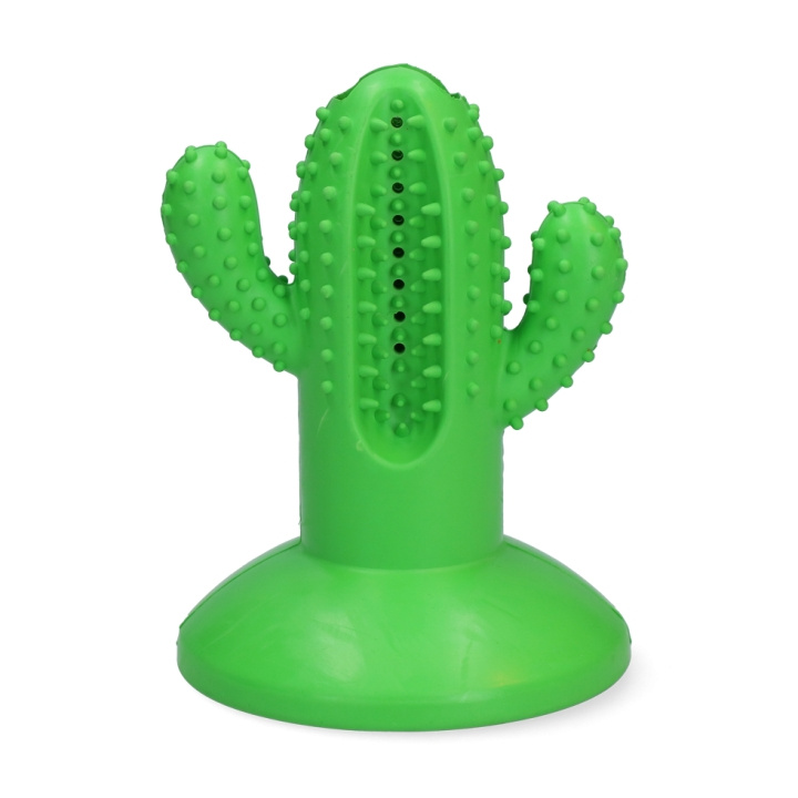 AFP Dental Cactus Large Green 15cm - (AFPH04198) i gruppen HEM, HUSHÅLL & TRÄDGÅRD / Djurtillbehör / Hund hos TP E-commerce Nordic AB (D16824)