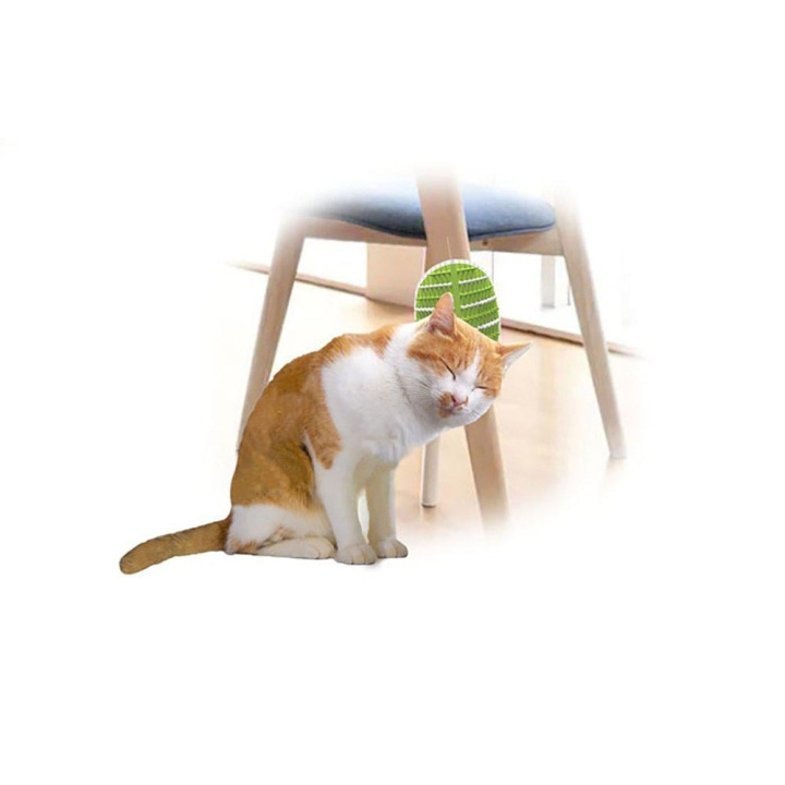 AFP All For Paws - Groomer 2 In 1 20.3X11X2,2Cm - (781.1025) i gruppen HEM, HUSHÅLL & TRÄDGÅRD / Djurtillbehör / Katt hos TP E-commerce Nordic AB (D17139)