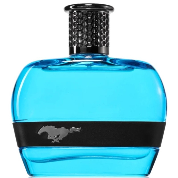 Ford Mustang Blue For Men Edt 100ml i gruppen SKÖNHET & HÄLSA / Doft & Parfym / Parfym / Parfym för honom hos TP E-commerce Nordic AB (D18202)