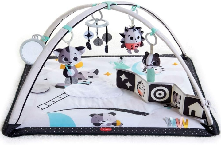 Tiny Love Gymini Magiska berättelser - (3333120594) i gruppen LEKSAKER, BARN- & BABYPRODUKTER / Babyleksaker / Aktivitetsleksaker hos TP E-commerce Nordic AB (D19584)