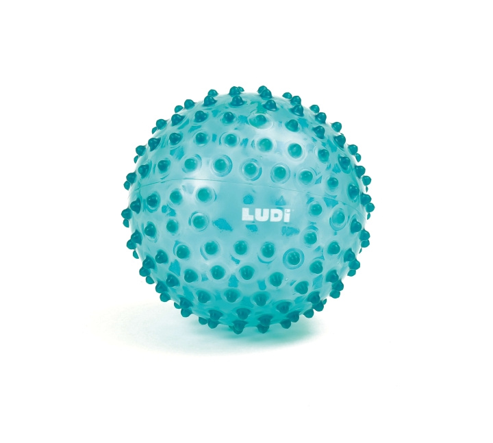 LUDI Sensorisk boll - Blå - (LU30114) i gruppen LEKSAKER, BARN- & BABYPRODUKTER / Uteleksaker hos TP E-commerce Nordic AB (D19611)