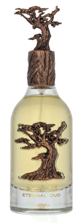 Lattafa Pride Eternal Oud Edp Spray 100 ml i gruppen SKÖNHET & HÄLSA / Doft & Parfym / Parfym hos TP E-commerce Nordic AB (D19868)